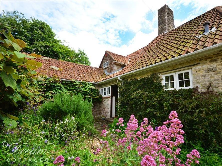 Sixpenny Cottage Upwey Exteriér fotografie